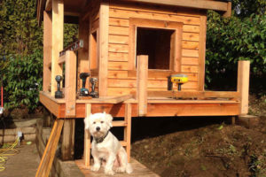 Custom playhouse in East Vancouver