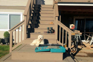 TREX decking stairs, railing & deck