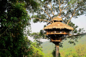 Treehouses - volunteer work for forest conservation in Laos
