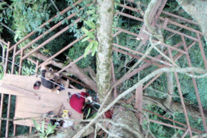 Treehouses - volunteer work for forest conservation in Laos